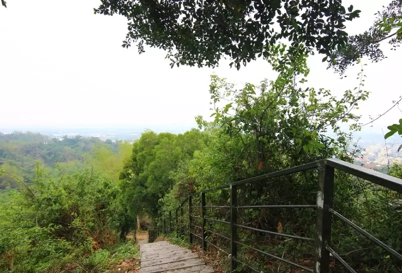 龍過脈森林步道