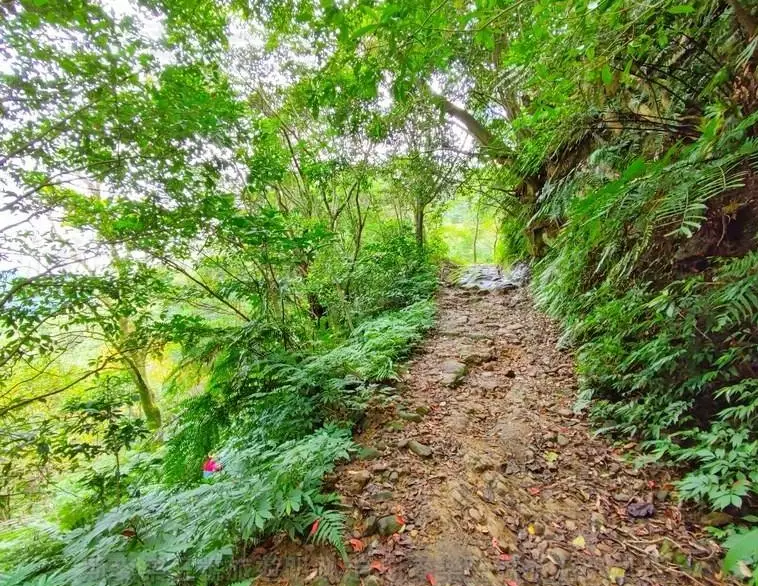 二格山 登山路線
