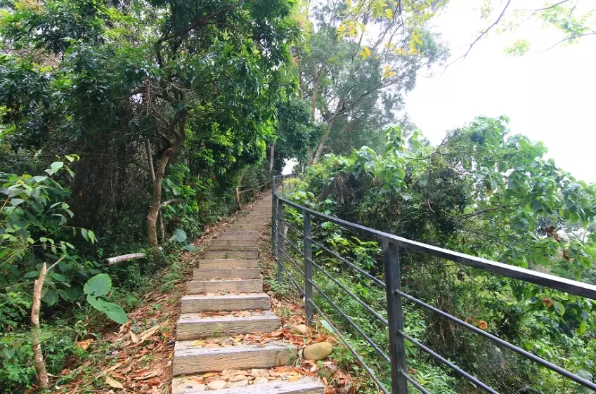 龍過脈森林步道交通