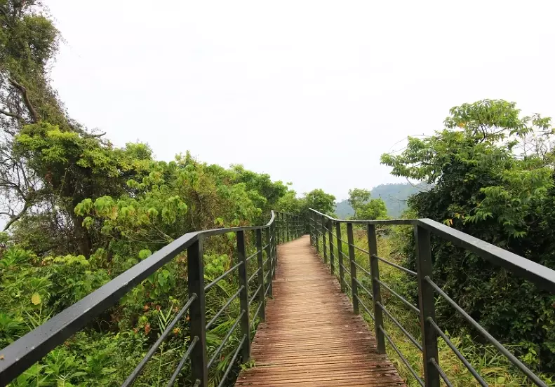 龍過脈森林步道