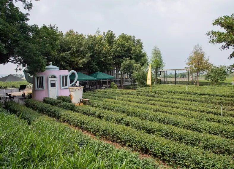 南投名間景點 南投名間景點