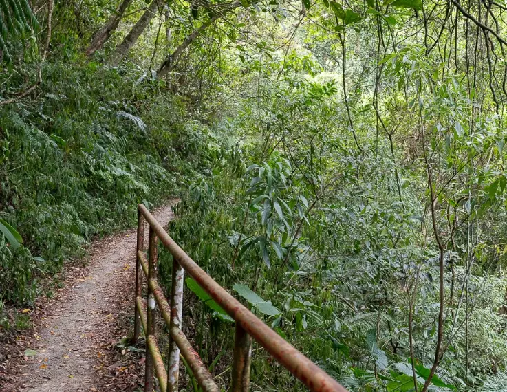 親子健行步道 親子健行步道