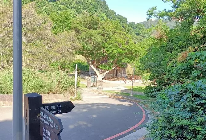 龍鳳谷交通 龍鳳谷交通