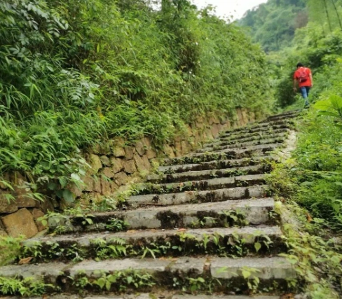 虎山步道怎麼去 虎山步道怎麼去