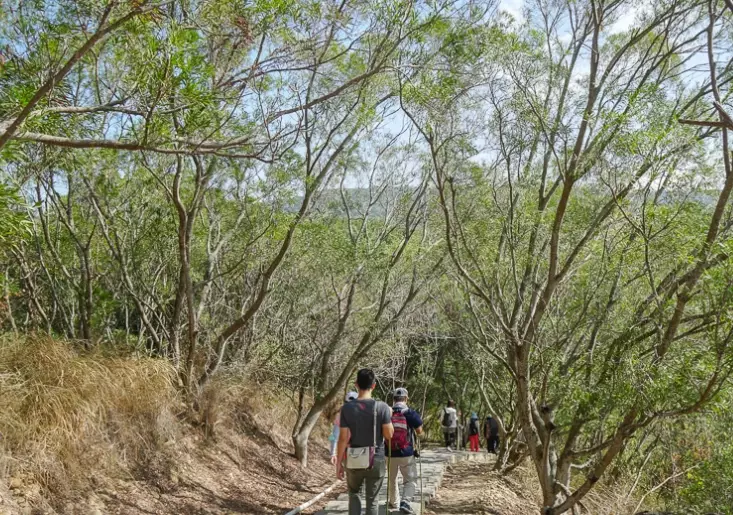 台中登山路線 台中登山路線