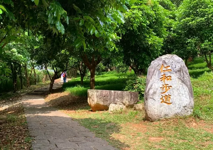 仁和步道交通
