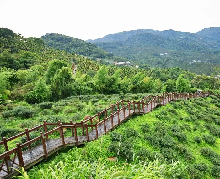 太興岩步道怎麼去