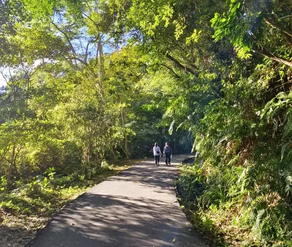 百吉林蔭步道 公車