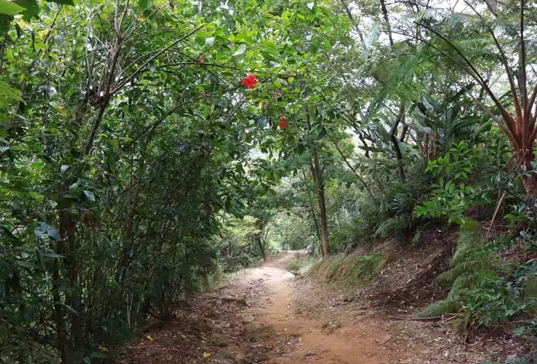 台北登山替代路線 台北登山替代路線