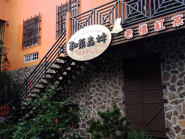 魚池鄉美食