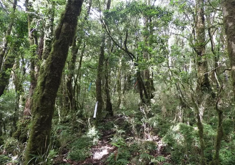 台東登山秘境 台東登山秘境