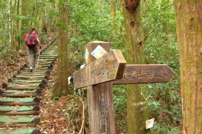 橫嶺山步道封閉 橫嶺山步道封閉
