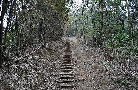 福源山步道開放時間 福源山步道開放時間