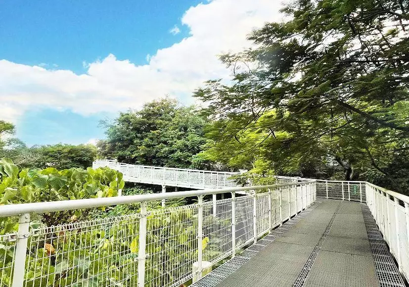 東勢步道難度 東勢步道難度