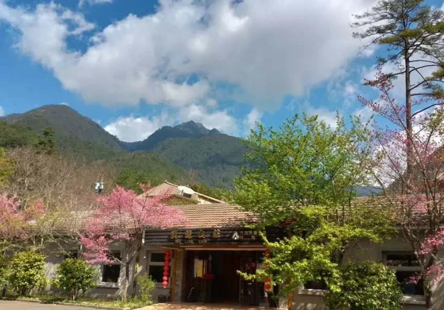 徒步安全指南 徒步安全指南