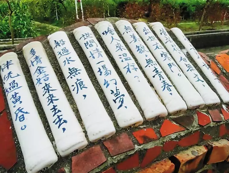 西港花旗木 西港花旗木