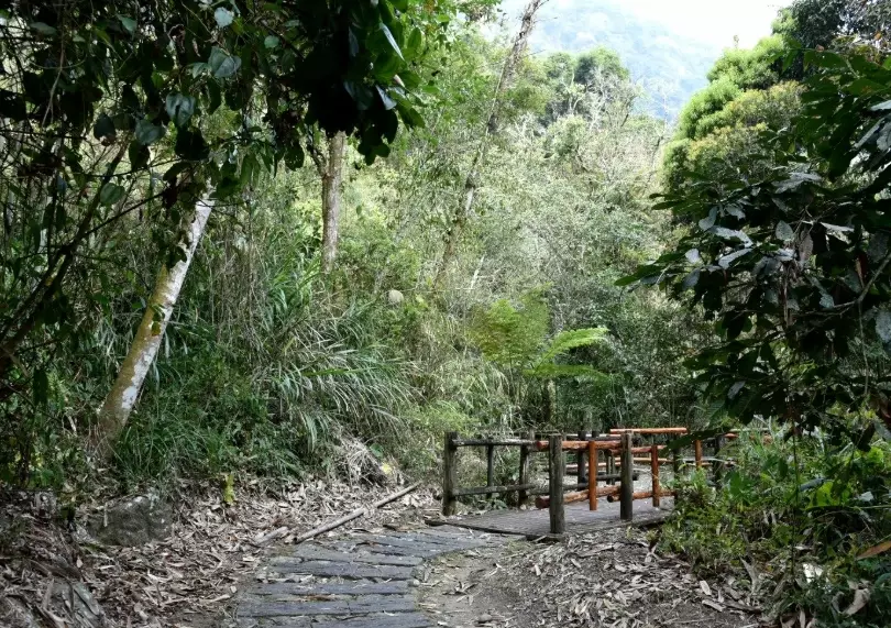 迷糊步道怎么去 迷糊步道怎么去