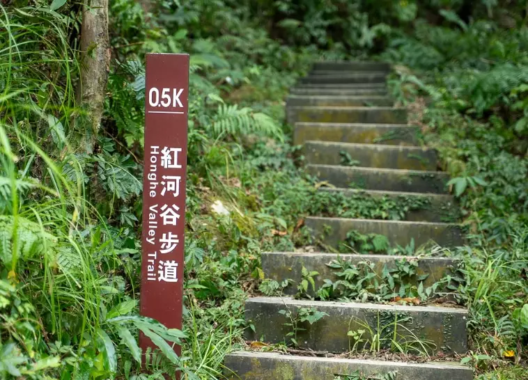 烏來步道 烏來步道