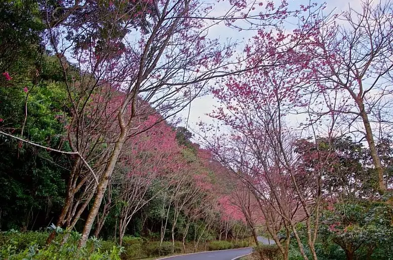 二格山 步道