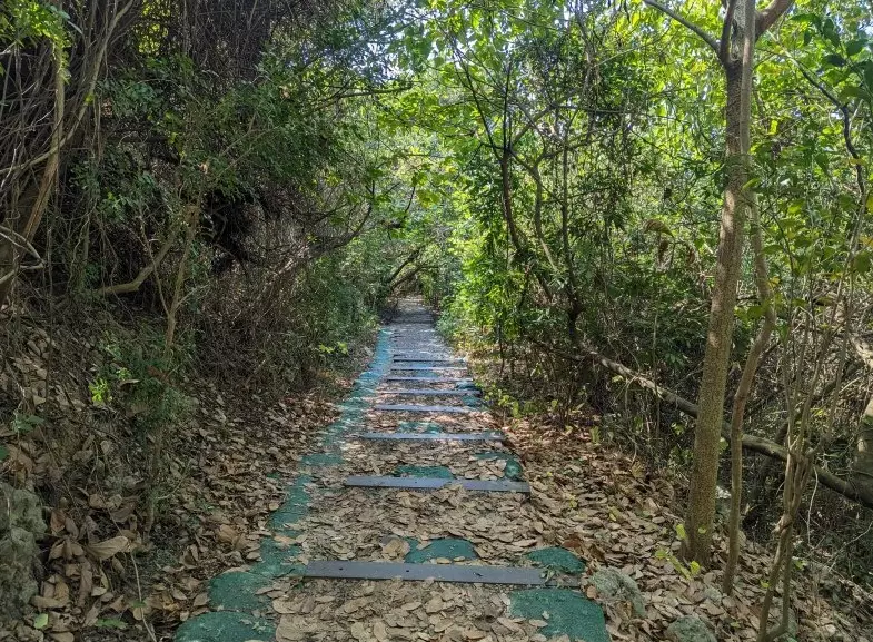 半屏山駕駛安全