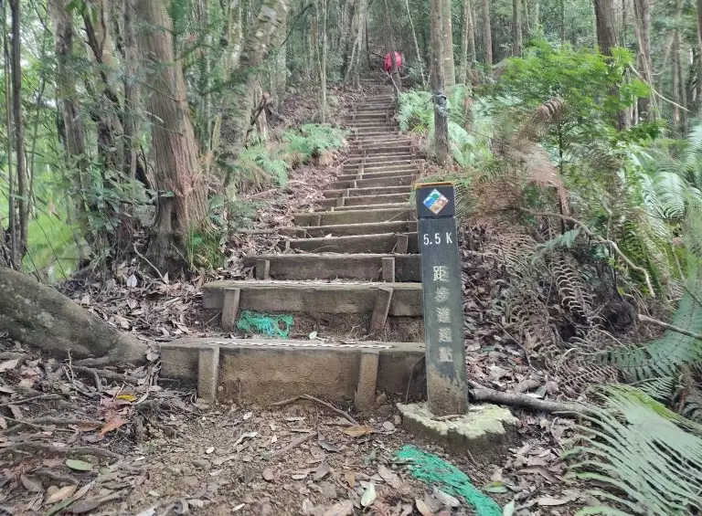 橫嶺山替代步道 橫嶺山替代步道
