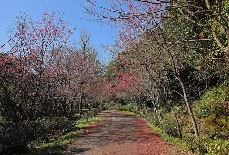 二格山 步道
