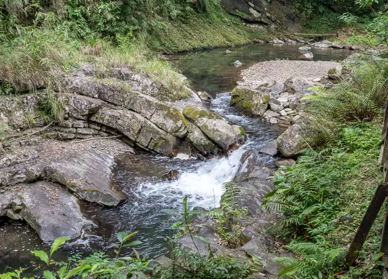 金瓜寮魚蕨步道 金瓜寮魚蕨步道