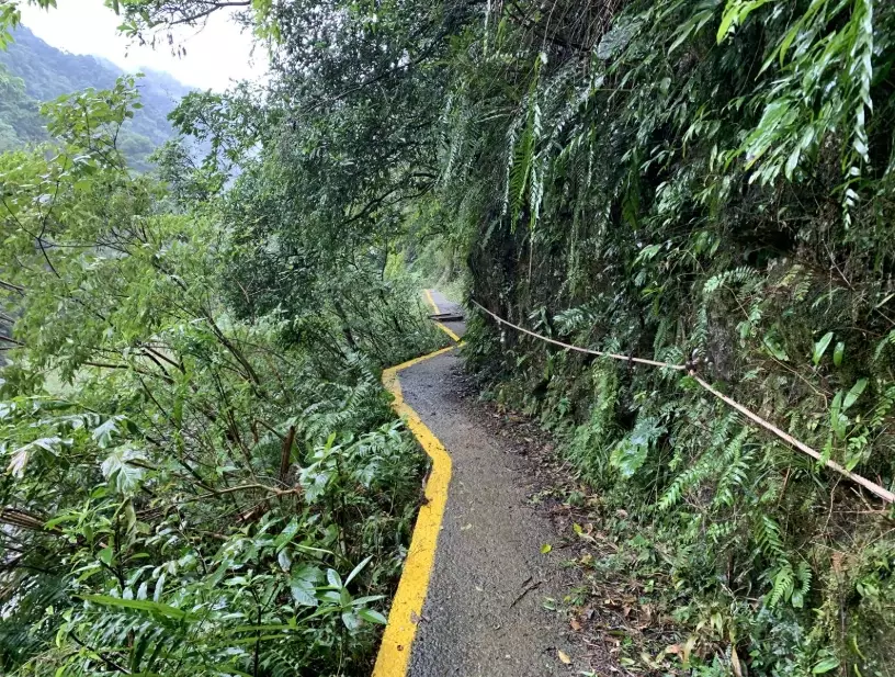 親子健行步道 親子健行步道