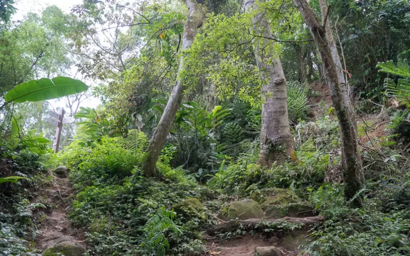 小粗坑古道 小粗坑古道