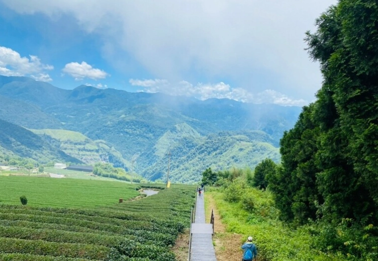 阿里山日出 阿里山日出