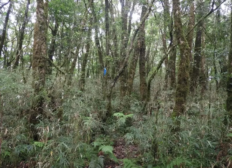 台東登山秘境 台東登山秘境