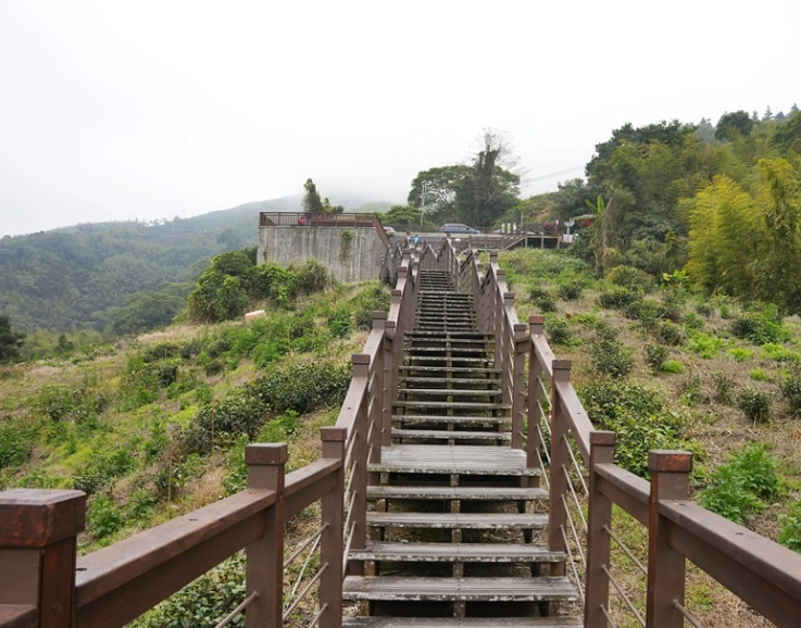 太興岩步道交通