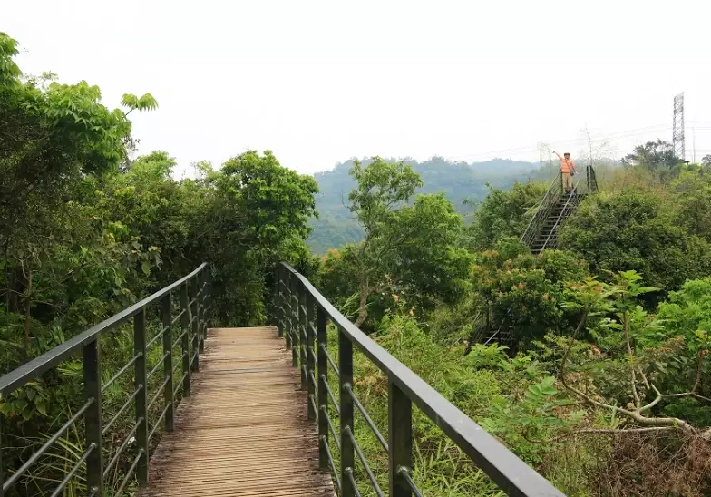 龍過脈森林步道 地址 龍過脈森林步道 地址