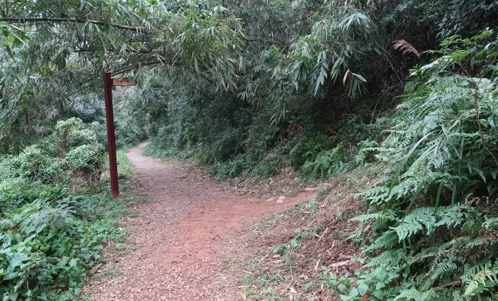 仁和步道交通