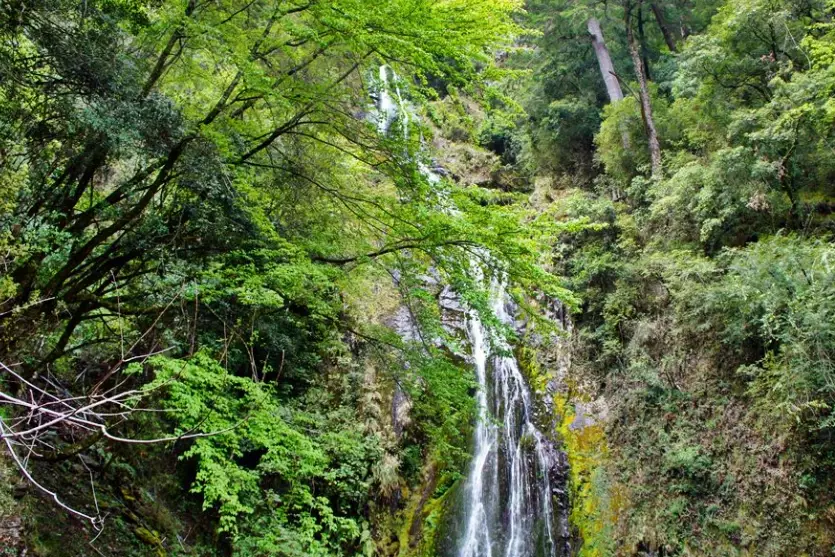 桃山瀑布怎麼去