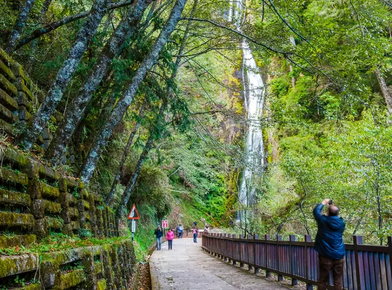 桃山步道交通 桃山步道交通