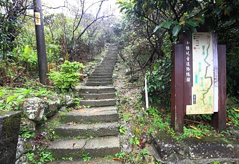 小粗坑古道 礦業遺跡 小粗坑古道 礦業遺跡