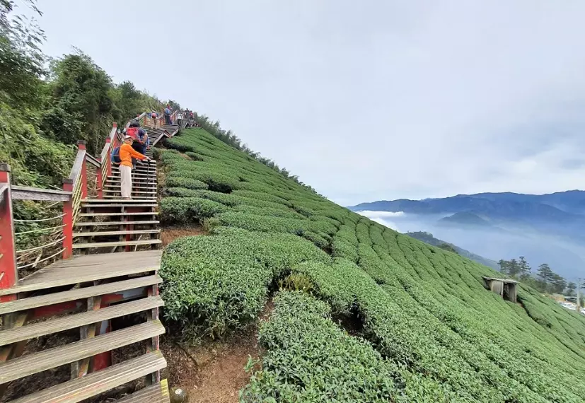 嘉義梅山景點 嘉義梅山景點