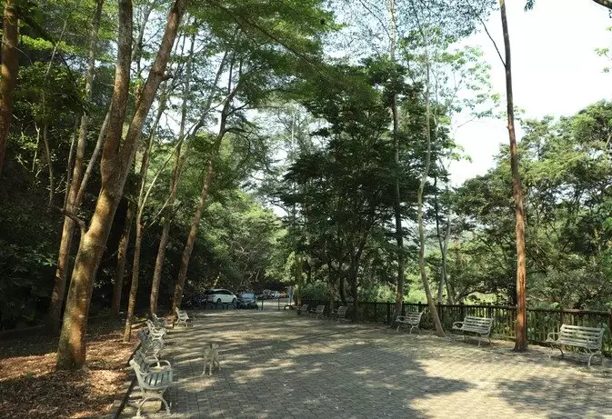 南投名間景點 南投名間景點