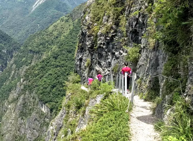台灣古道健行 台灣古道健行