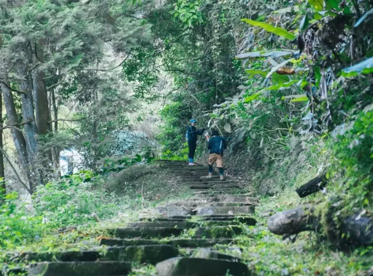 水社大山替代路線 水社大山替代路線