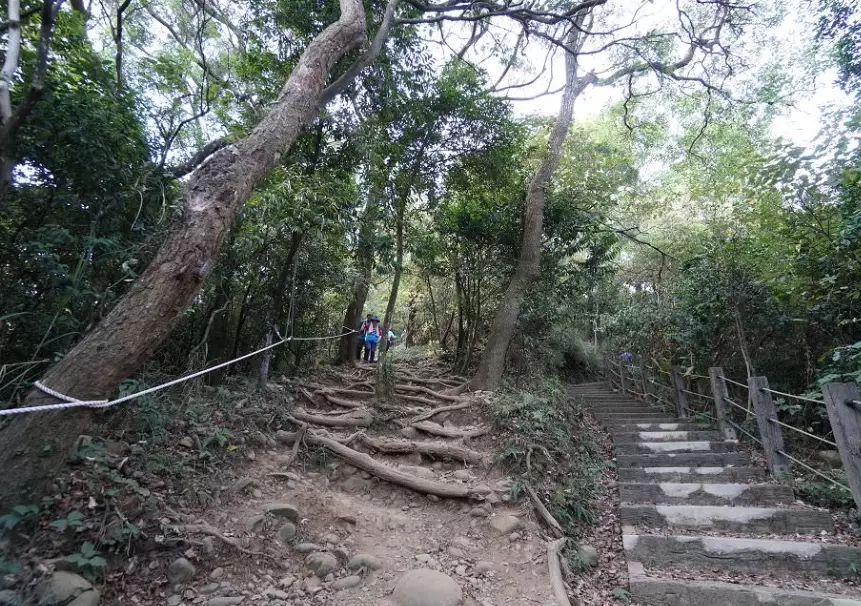 飛鳳山步道