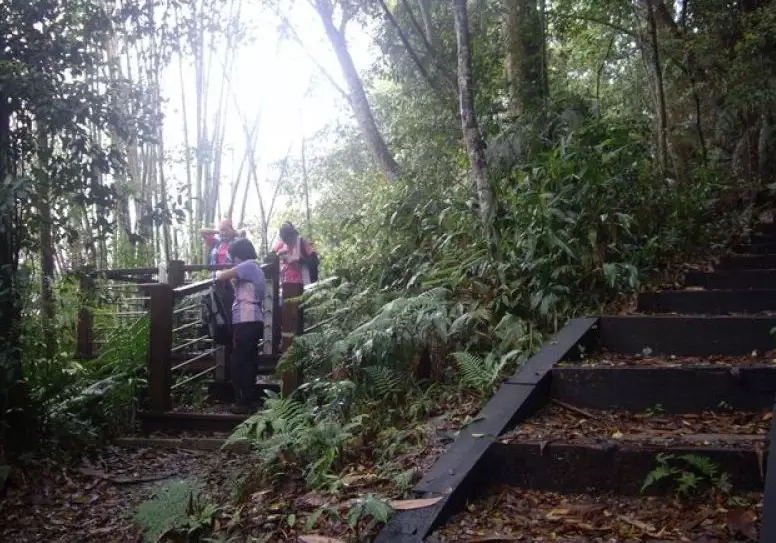 水社大山替代路線 水社大山替代路線