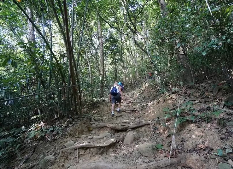 飛鳳山步道