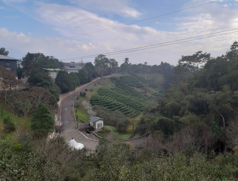 南投土地公鞍部