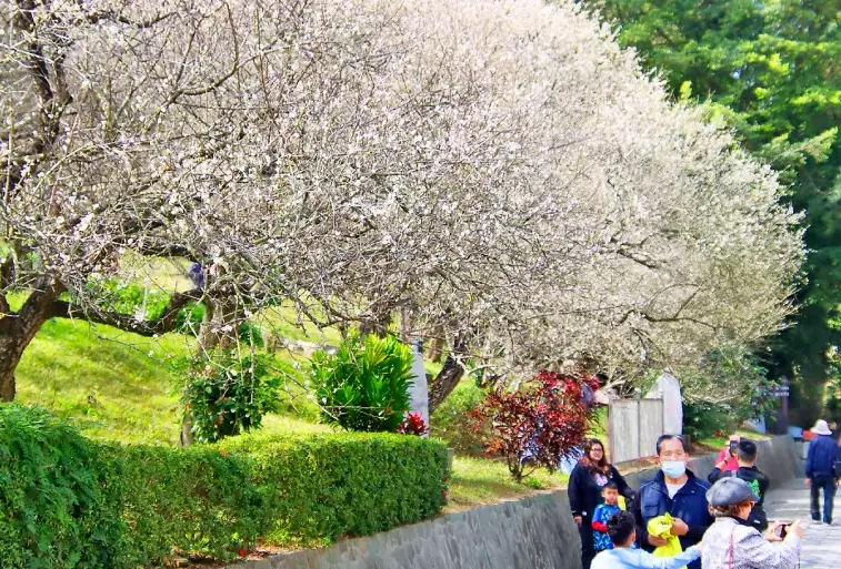 空氣圖書館 附近 景點 空氣圖書館 附近 景點