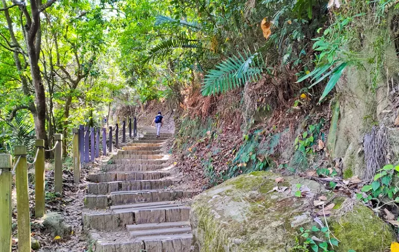 三汀山公車 三汀山公車