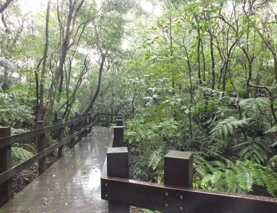 翠山步道怎麼去