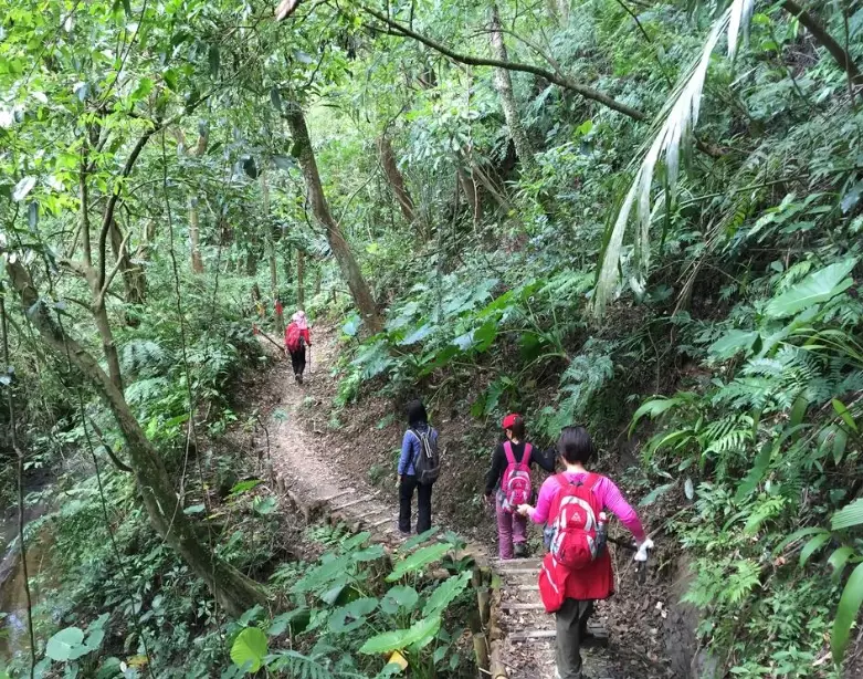 嶺腳寮山登山 嶺腳寮山登山