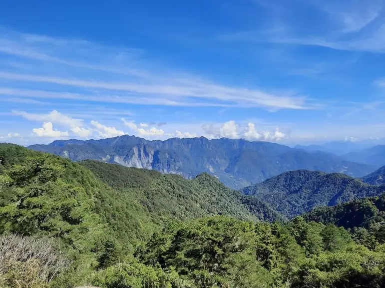 鹿林山麟趾山步道